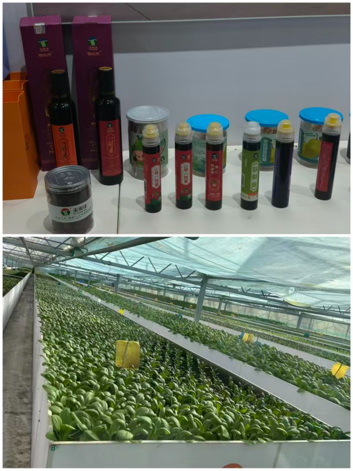 �����԰���¾���������ũ�˷��ӣ�ũѧԺѧ�Ӹ���������չ���ʵ���