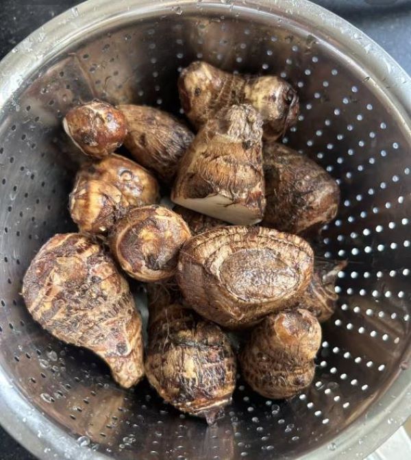 ����������ѧ��������ѧ�Ӻ��ٿ�չ̽����ζ���ʵ���