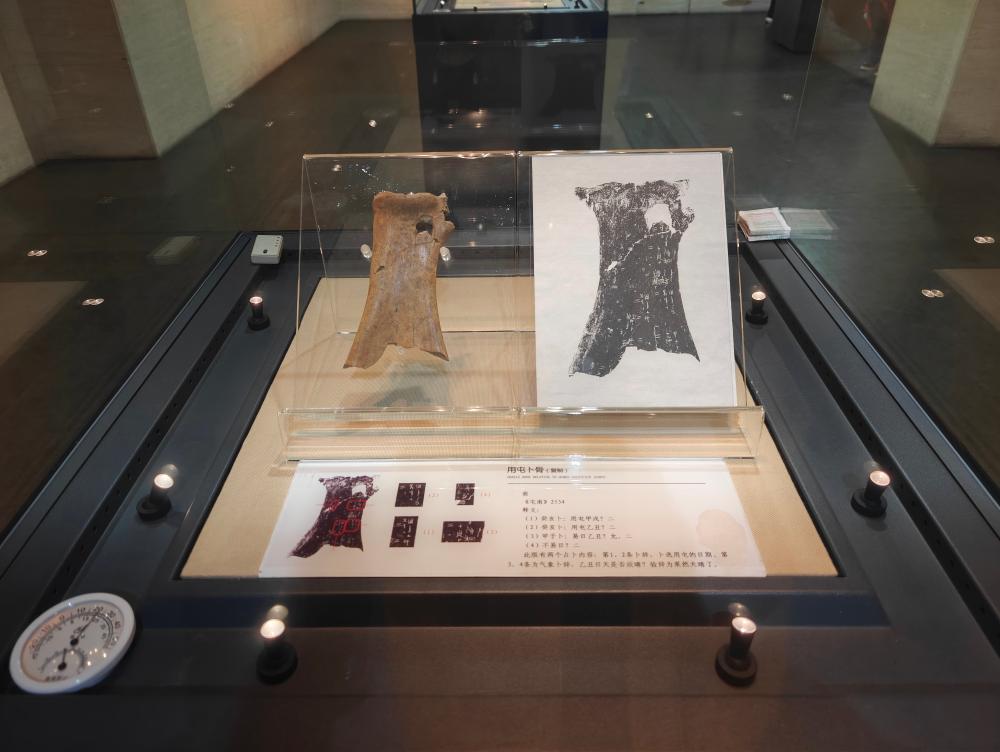 ������֮Լ��������֮�ϡ���ɽ����ѧ�����δ�������������������Ųηü׹���ġ�̼���