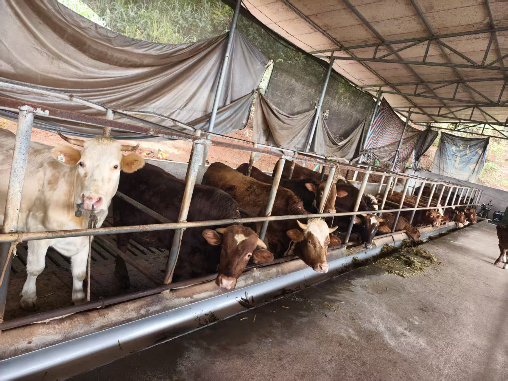 �ഺ������ �Ƽ�����ţ��������ѧ�Ӹ�������չ��ţ��ҵ���ʵ��