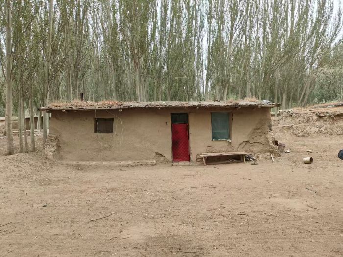 �����Ͻ���һ�����飺ɽ���µ���������������Ļ