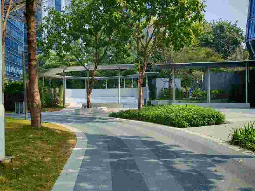 �ܹ�ѧ��"��"Լů�������ܹ�ѧ�Ӹ����ڳ��й�԰��չ���ʵ��