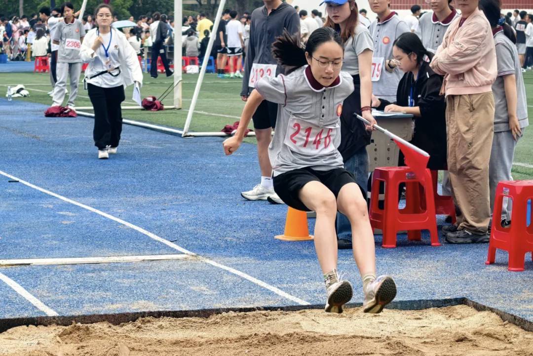 ȼ������������