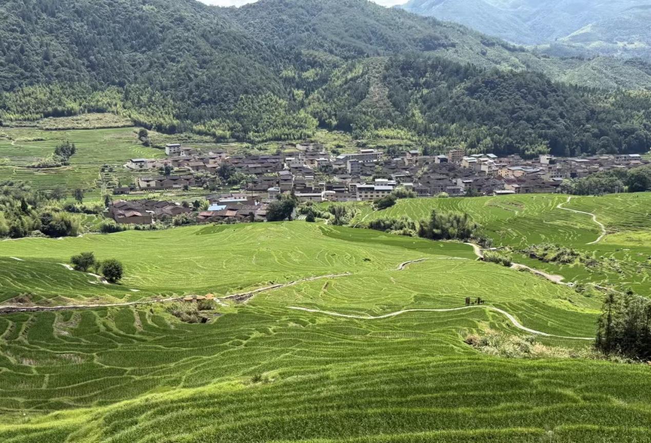 梯田风景