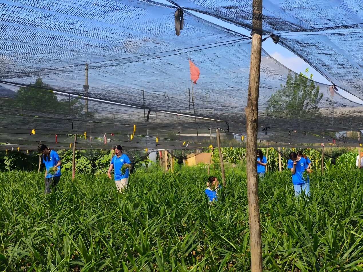 �ഺ��ũ��ͣЪ ����ܻ�������
