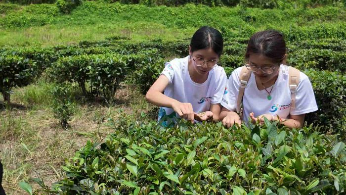 �ӻ�ɽ�����磺������ġ�Ҷ����֮·��������ʦ��ѧԺ���������ͻ���ӵ��м�ʵ