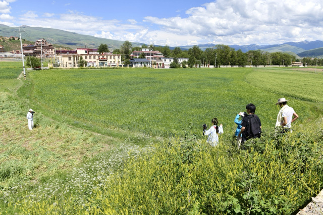 短片演员在呷拉乡盛夏青稞田中拍摄剧照