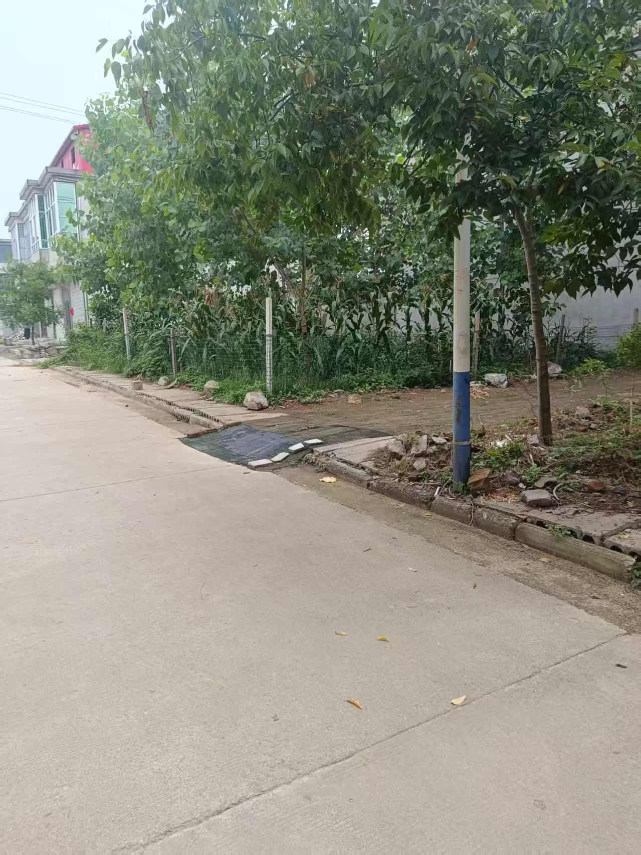 �ϲ�ѧ�������磺��Խ�����ֺ蹵���롰�ƶȱ��ݡ���̽Ѱ��������լ�����̻�֮·
