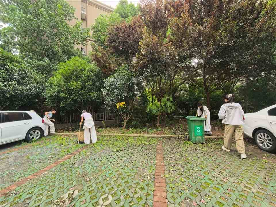 队员在社区工作人员指导下有序开展清扫活动