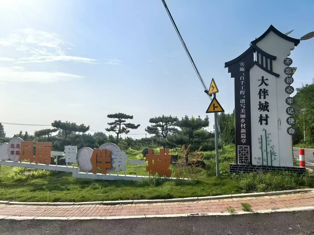 图为实践队员抵达大伴城村开展走访宣传 王佳怡摄