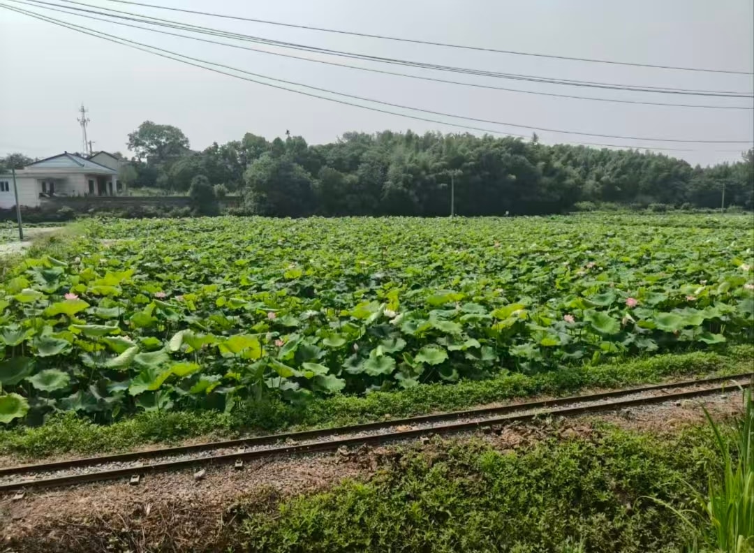 ���ഺ֮�������������»���