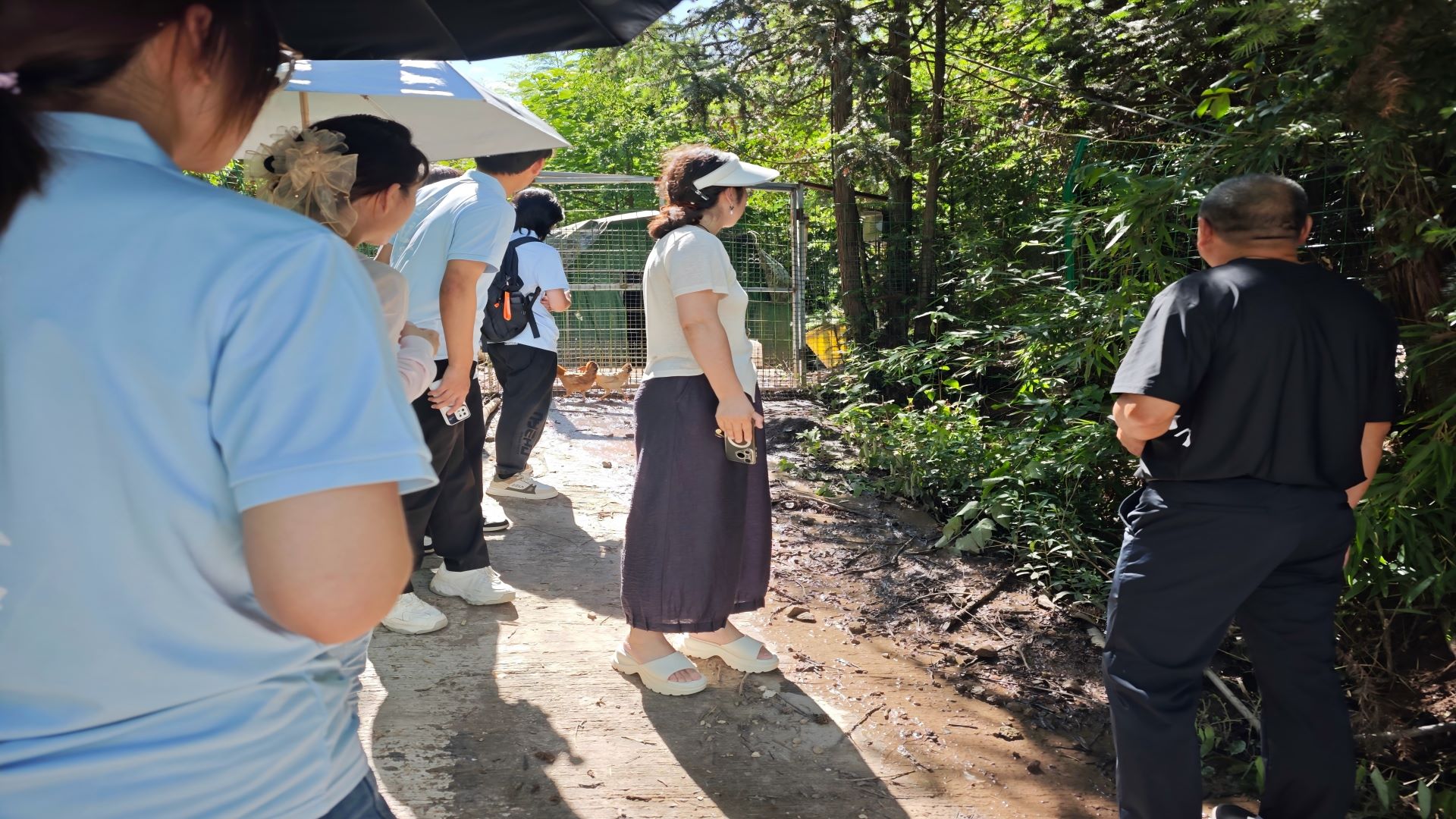 浙山浙岛慈善兴乡实践团实地探访“小鸡快跑”养殖基地