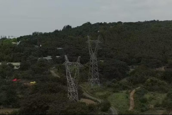 �ǽ��ȷ�ʵ���ſ�չ������ר������