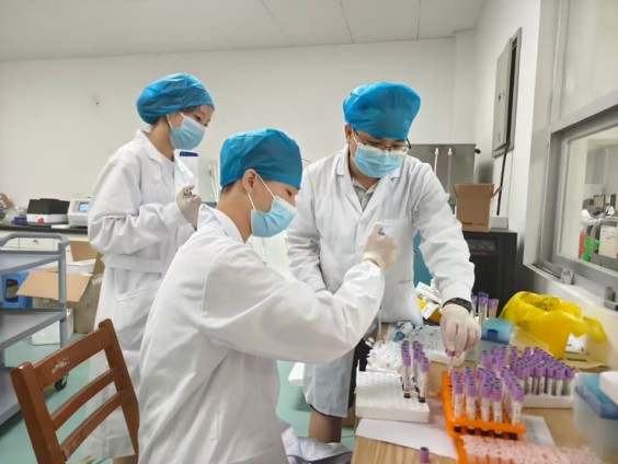 图 6 血液样本处理