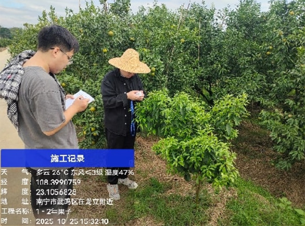 ��������̼�㶯̬���ģ�ʹ��Ŷӿ�չ��ʵ��