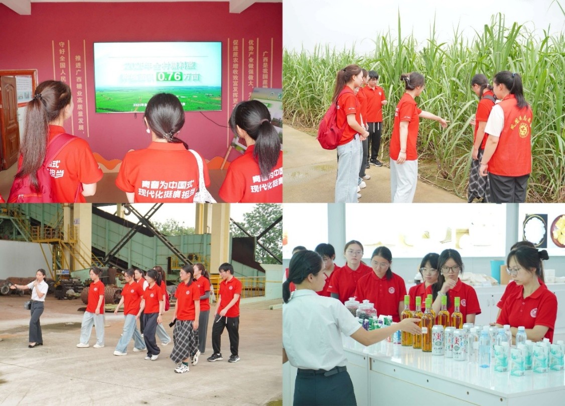 �ô����기���磺�������۲�ҵ��������ѧ����