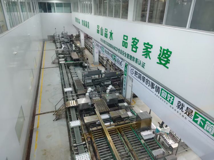 图为客家婆景区透明生产长廊 周芷冰摄