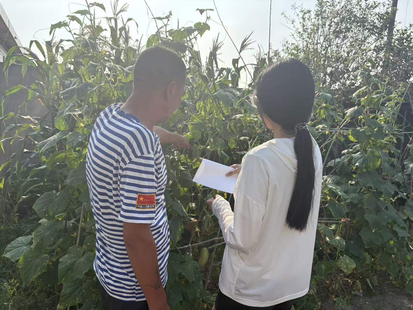 ��Ұ����֪ũ�ѣ��ഺЯ�������ˡ�������ֲ����ũ�����Ÿ��񻯿�չ���ڻ���ʵ��