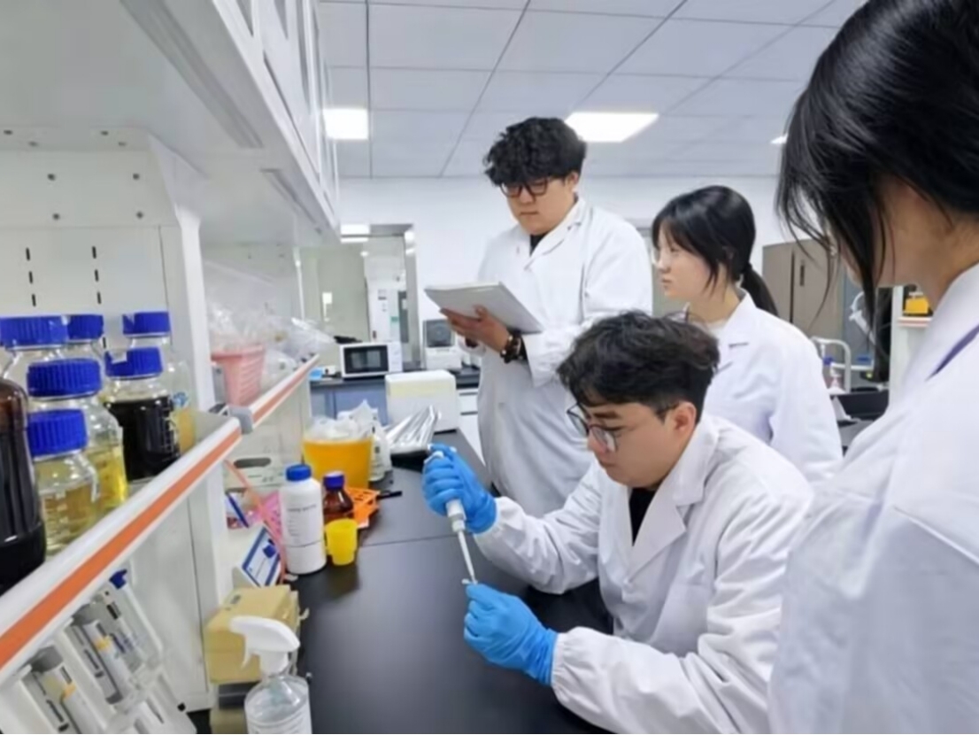 �������С�������Y-DNA��켼���������岻�ٳٵ�